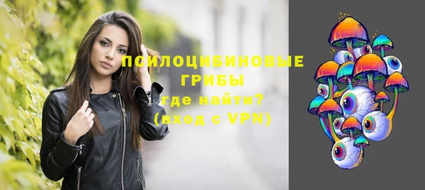 сатива Вязники