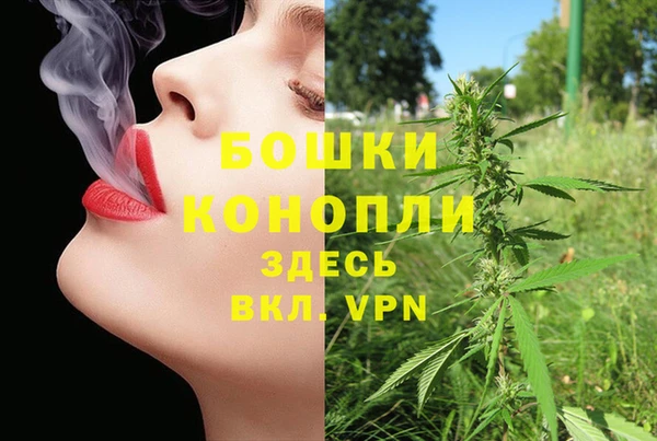 spice Вязьма