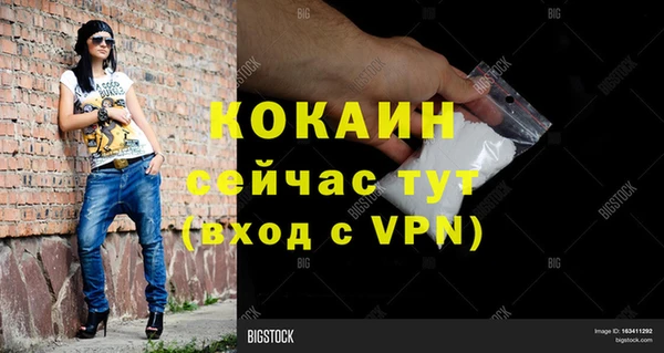сатива Вязники