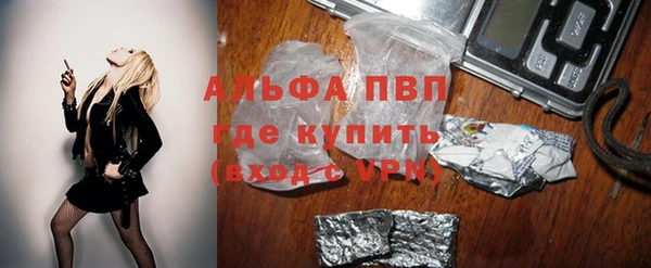 сатива Вязники