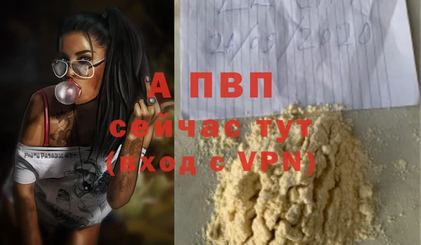 spice Вязьма