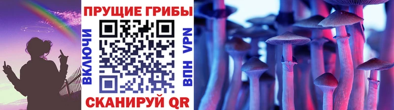 Псилоцибиновые грибы Magic Shrooms  Можга 